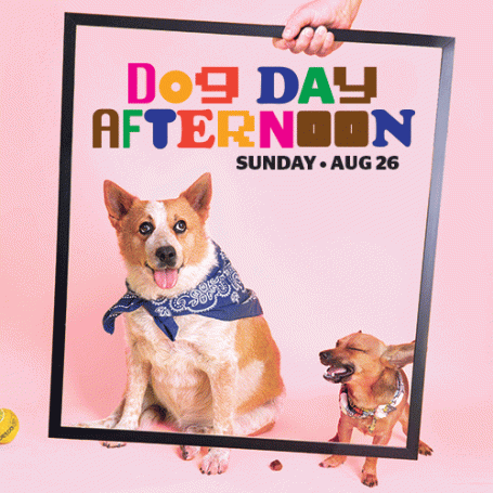 Bring your dog to the museum day (2018)